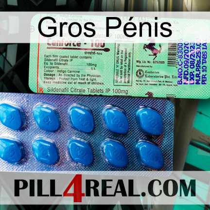 Gros Pénis new02